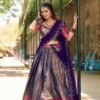 Luxurious Blue Zari South Indian Kanjivaram Lehenga Choli