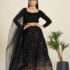 FB-44H_3.jpg Luxurious Black Velvet Lehenga