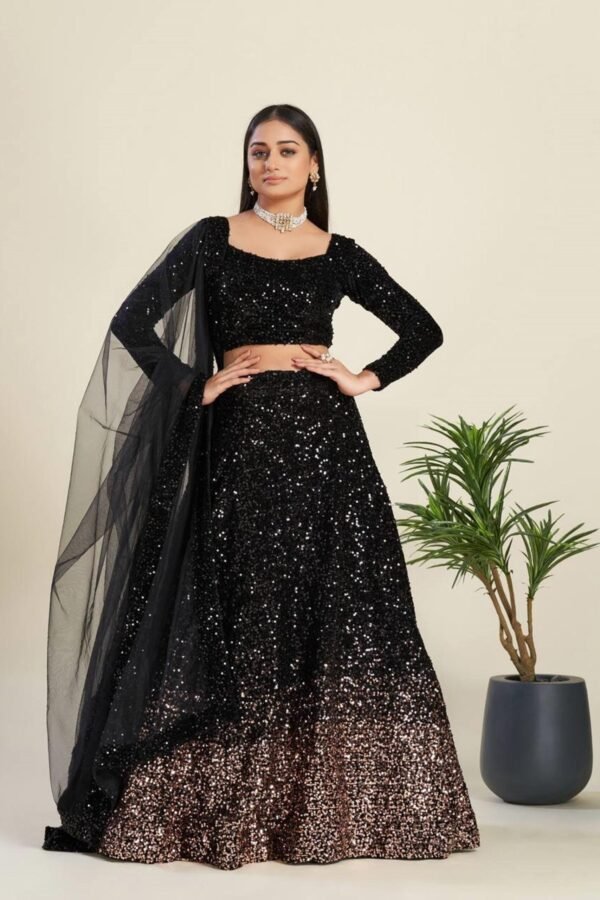 FB-44H_3.jpg Luxurious Black Velvet Lehenga