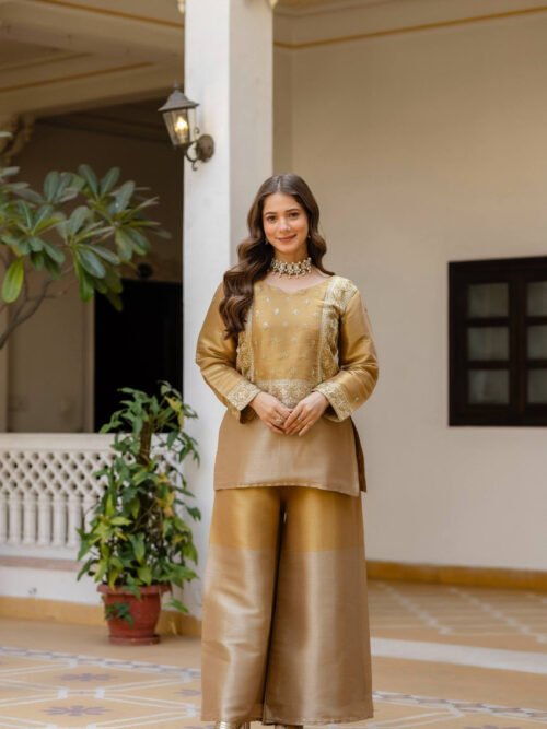 RR-42GOLD_2.jpg Banarasi Viscose Co-Ord Set – Elegant Ethnic Fusion