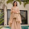 Tabby Organza Mukesh Work Kurta Suit
